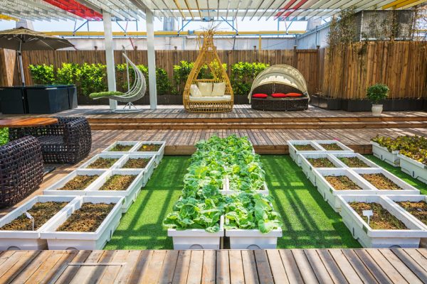 terrace-garden