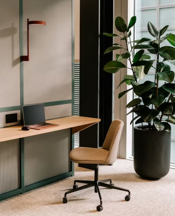 commercial interior