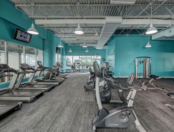 gyms-and-fitness-studios